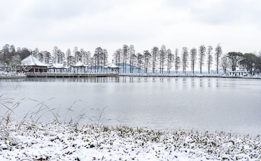 Snow in the winter landscape